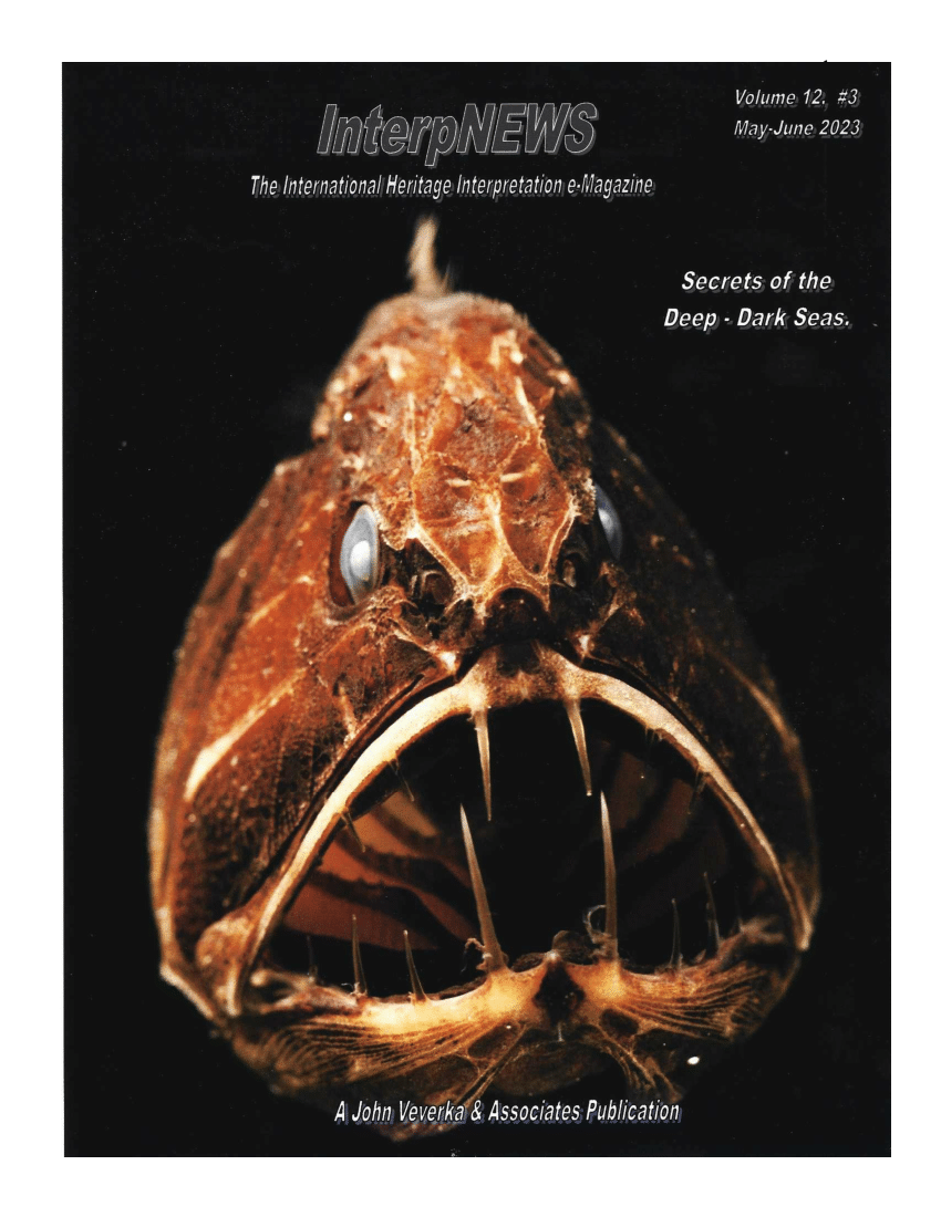Blobfish – OCEAN TREASURES Memorial Library