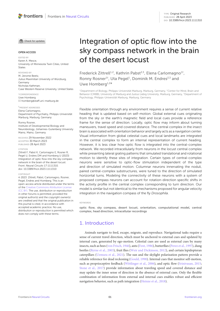 PDF Integration of optic flow into the sky compass network in the  