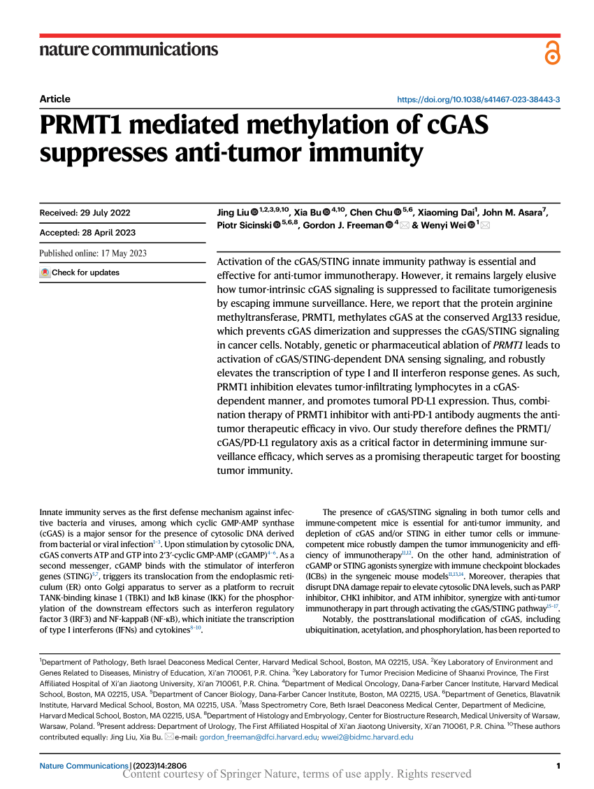 PDF PRMT1 mediated methylation of cGAS suppresses anti tumor