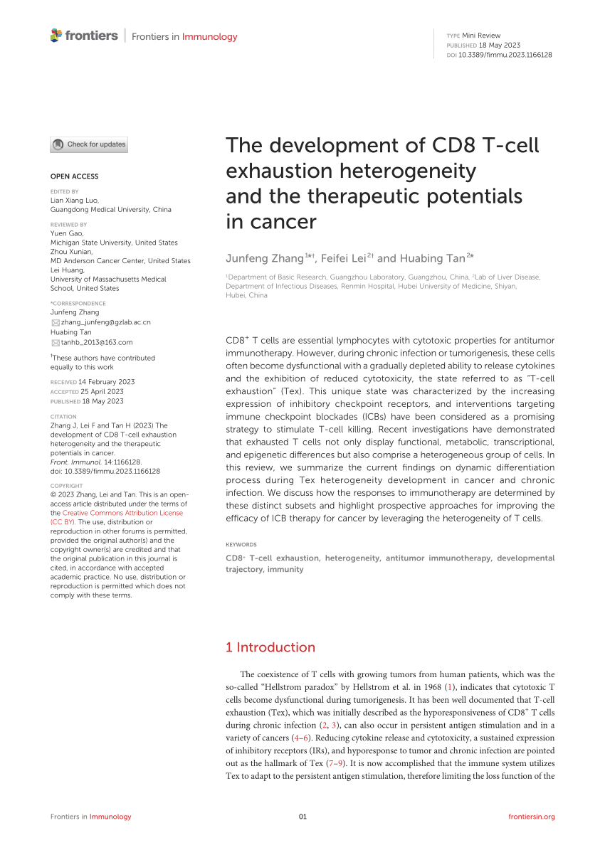 Frontiers  The development of CD8 T-cell exhaustion heterogeneity and the  therapeutic potentials in cancer