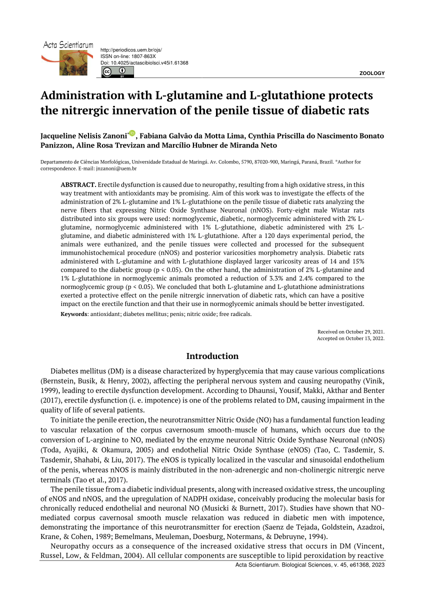 PDF Administration with L glutamine and L glutathione protects