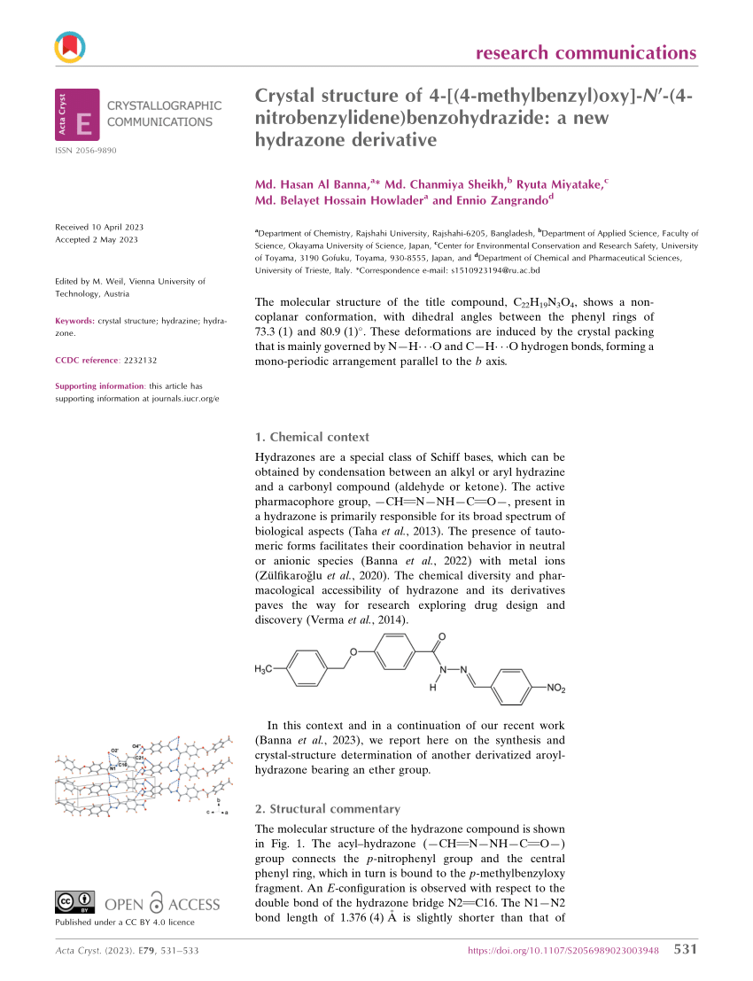 Conservation Treatment Report Trieste