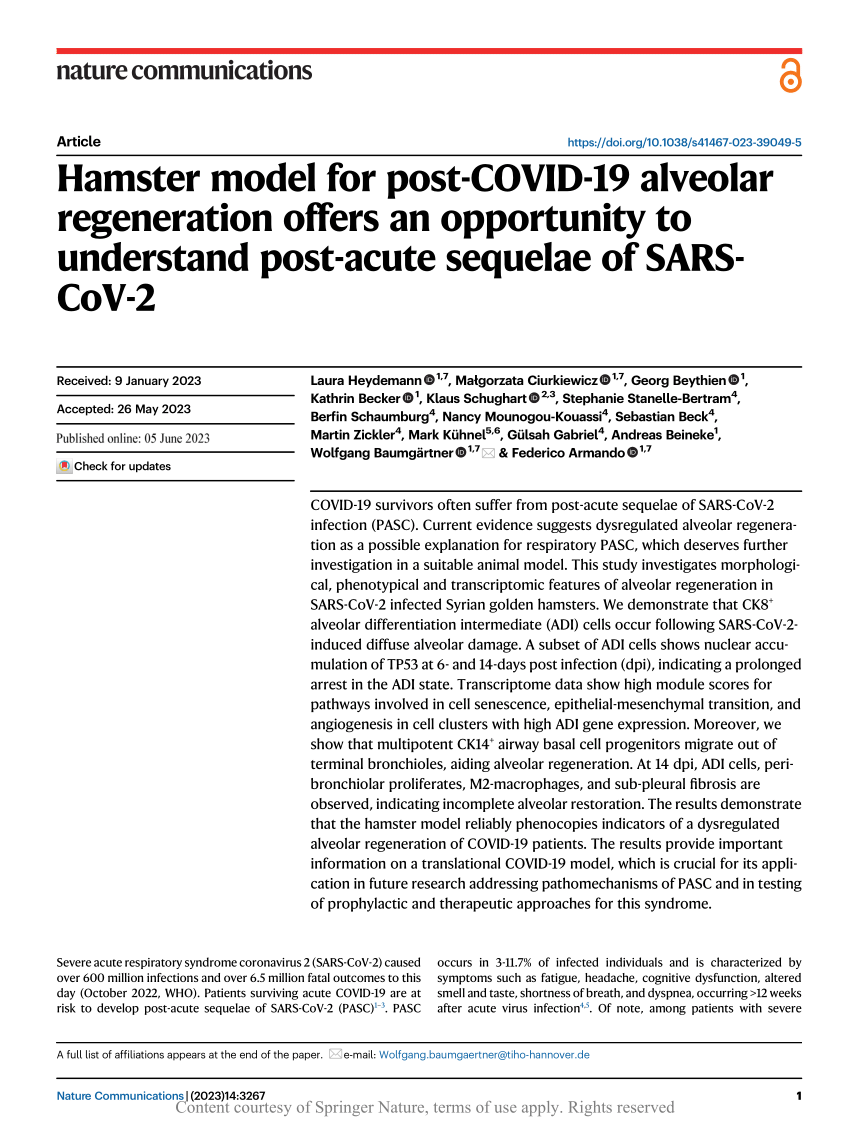 PDF Hamster model for post COVID 19 alveolar regeneration offers  