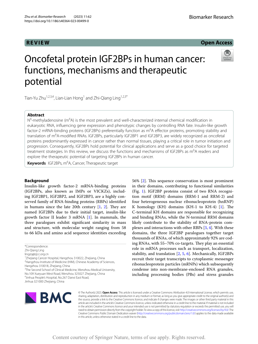 PDF) Oncofetal protein IGF2BPs in human cancer: functions 