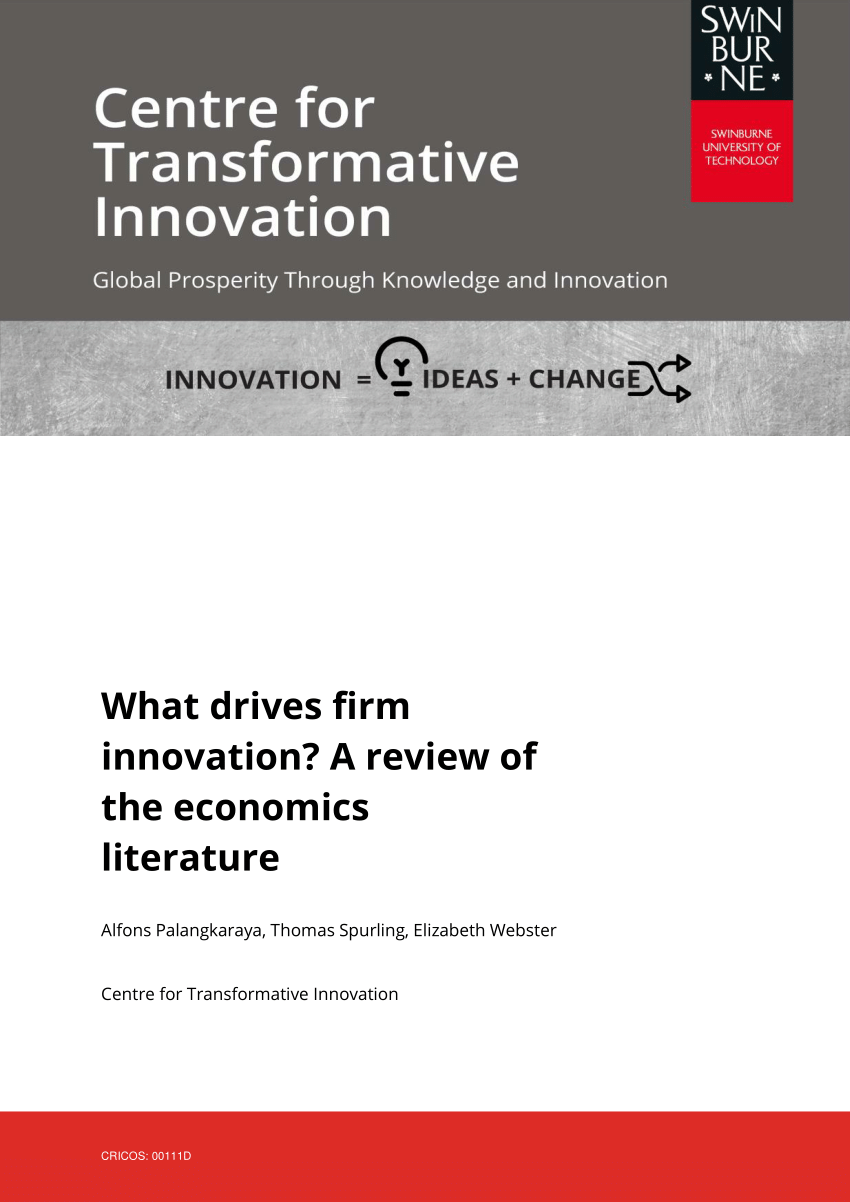 economics of innovation literature review