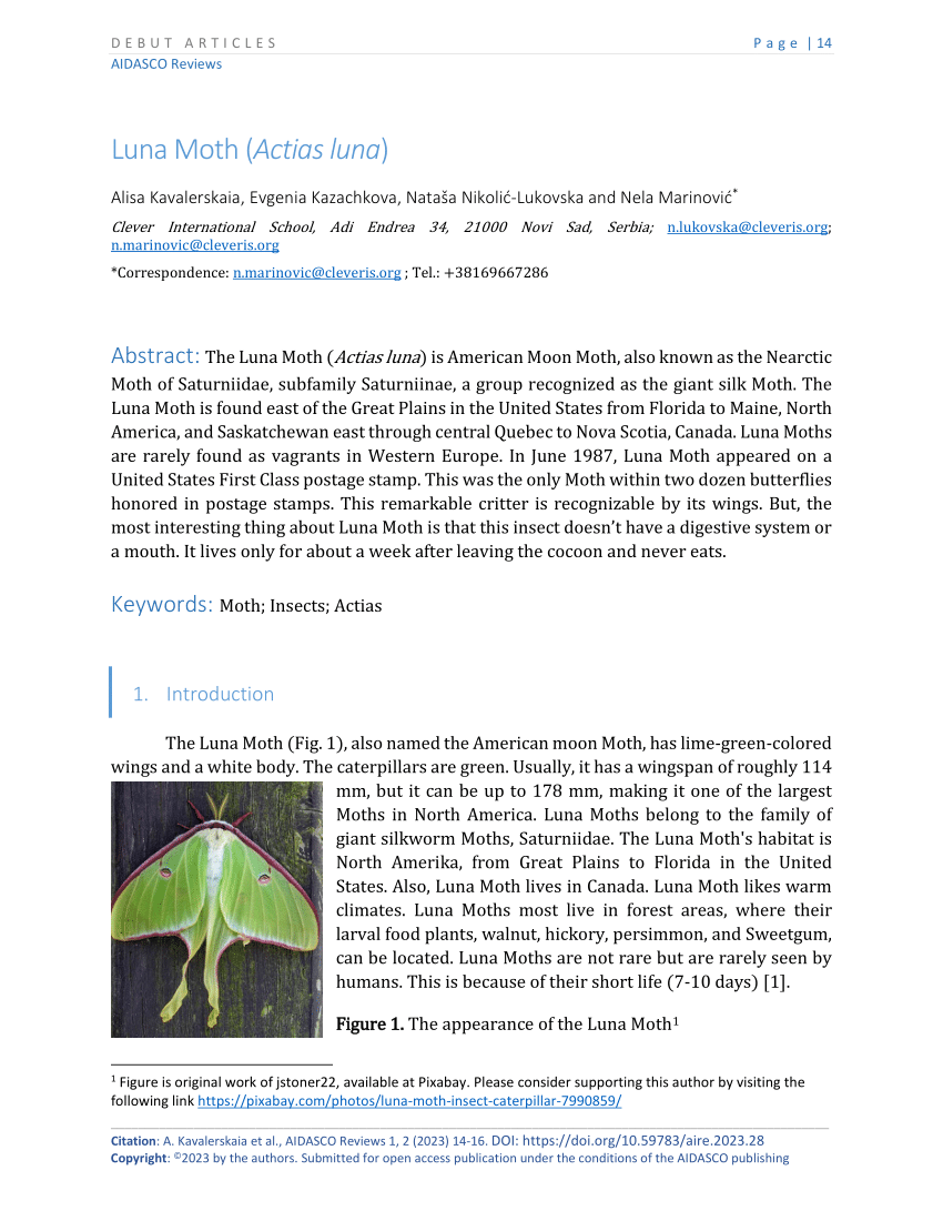 Goddess of the Moon: the life history of the Luna Moth