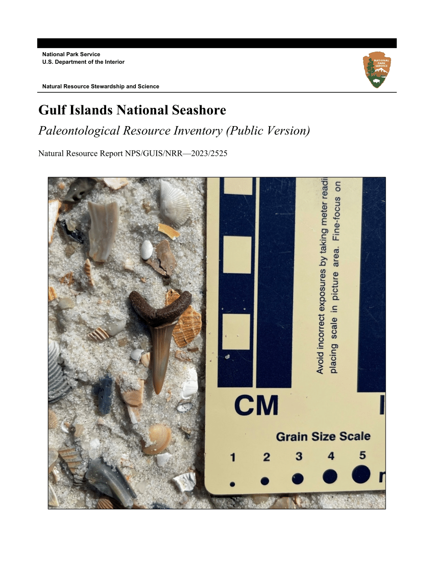 PDF) Gulf Islands National Seashore Paleontological Resource Inventory  (Public Version) Gulf Islands National Seashore Paleontological Resource  Inventory (Public Version)