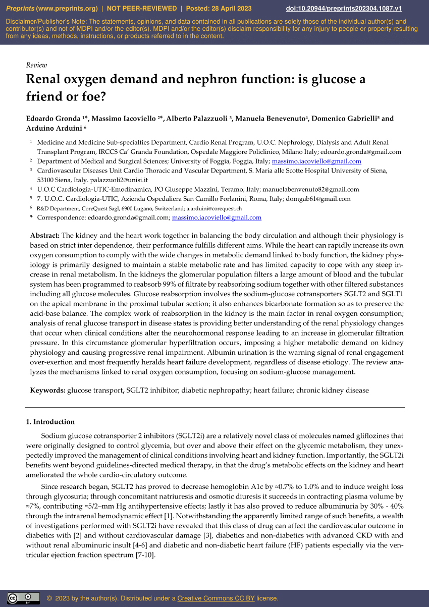 Pdf Renal Oxygen Demand And Nephron Function Is Glucose A Friend Or Foe