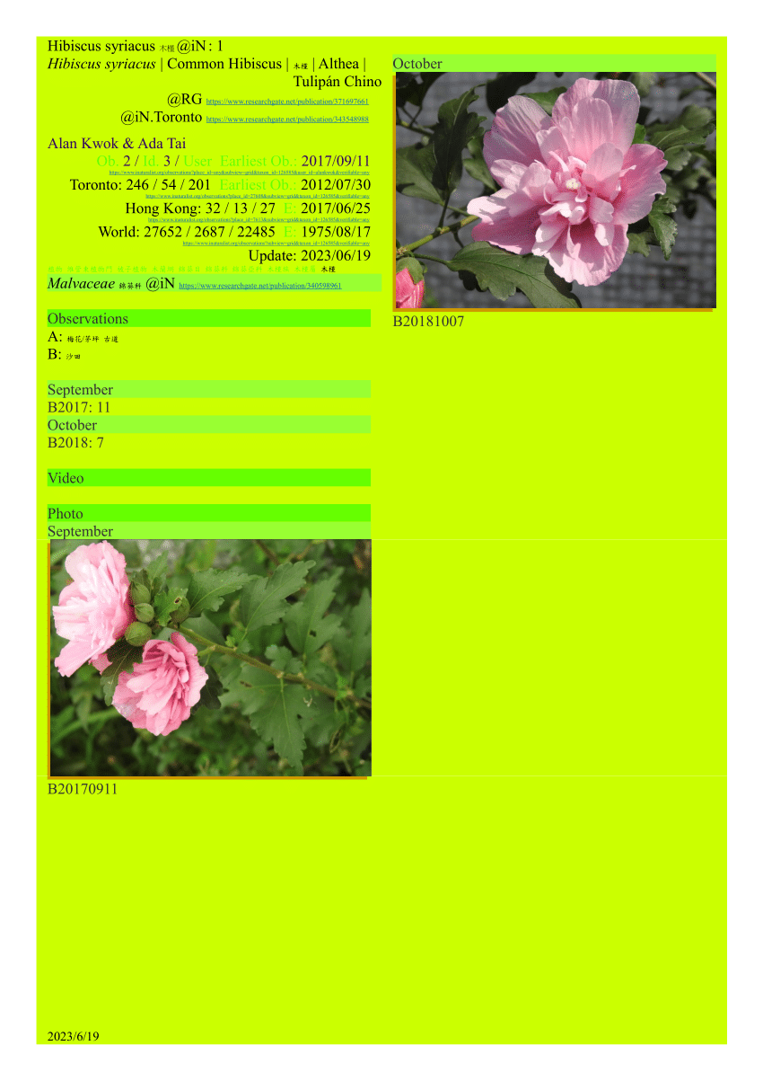 PDF) Hibiscus syriacus 木槿@iN