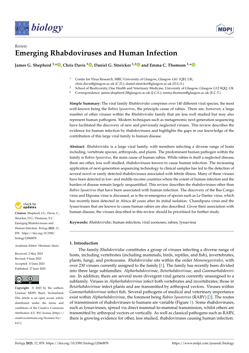 PDF) Emerging Rhabdoviruses and Human Infection