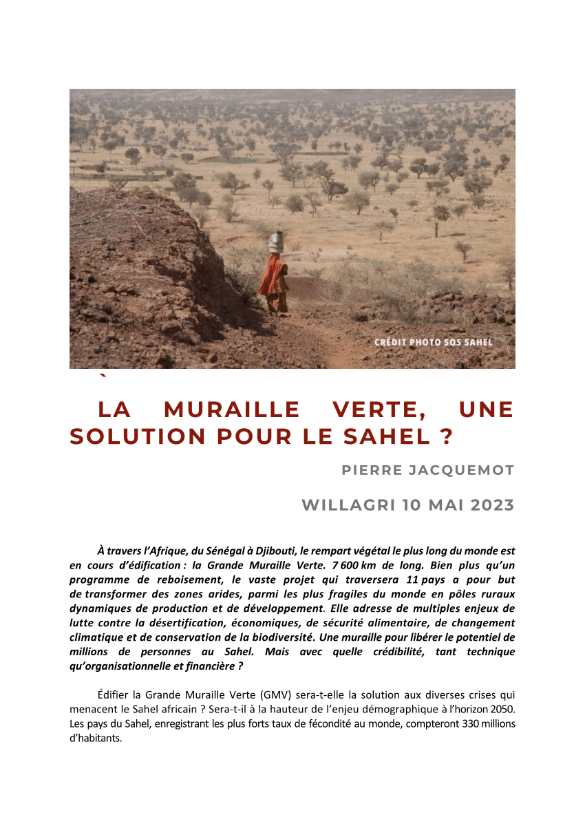 Tchad – Gomme arabique, l'Or du Sahel – SOS SAHEL