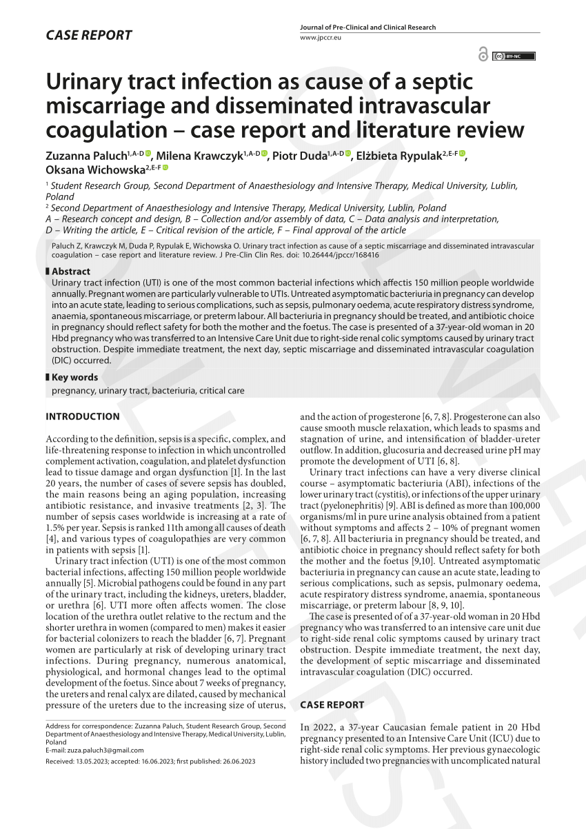 literature review on urinary tract infection