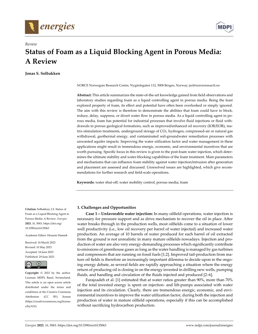 PDF) Status of Foam as a Liquid Blocking Agent in Porous Media: A 