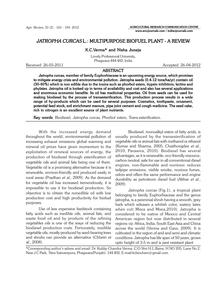 literature review of jatropha curcas