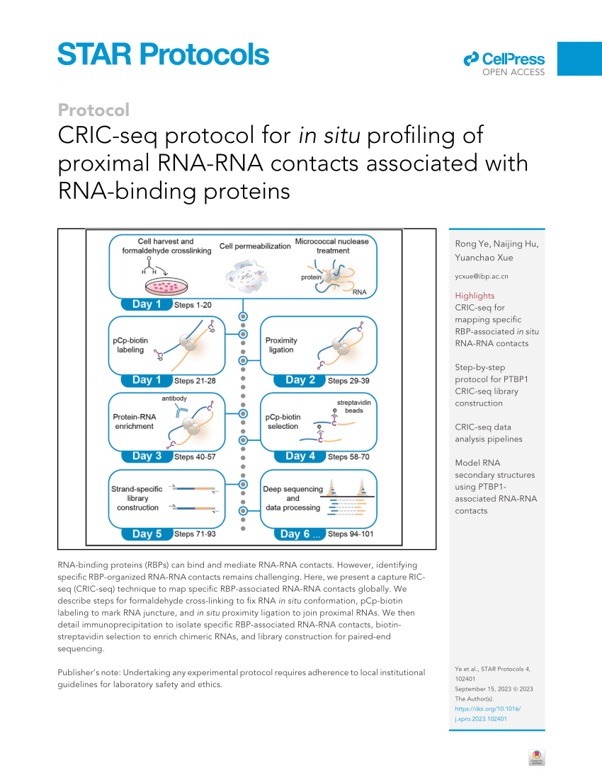 PDF) CRIC-seq protocol for in situ profiling of proximal RNA-RNA contacts associated with RNA-binding proteins