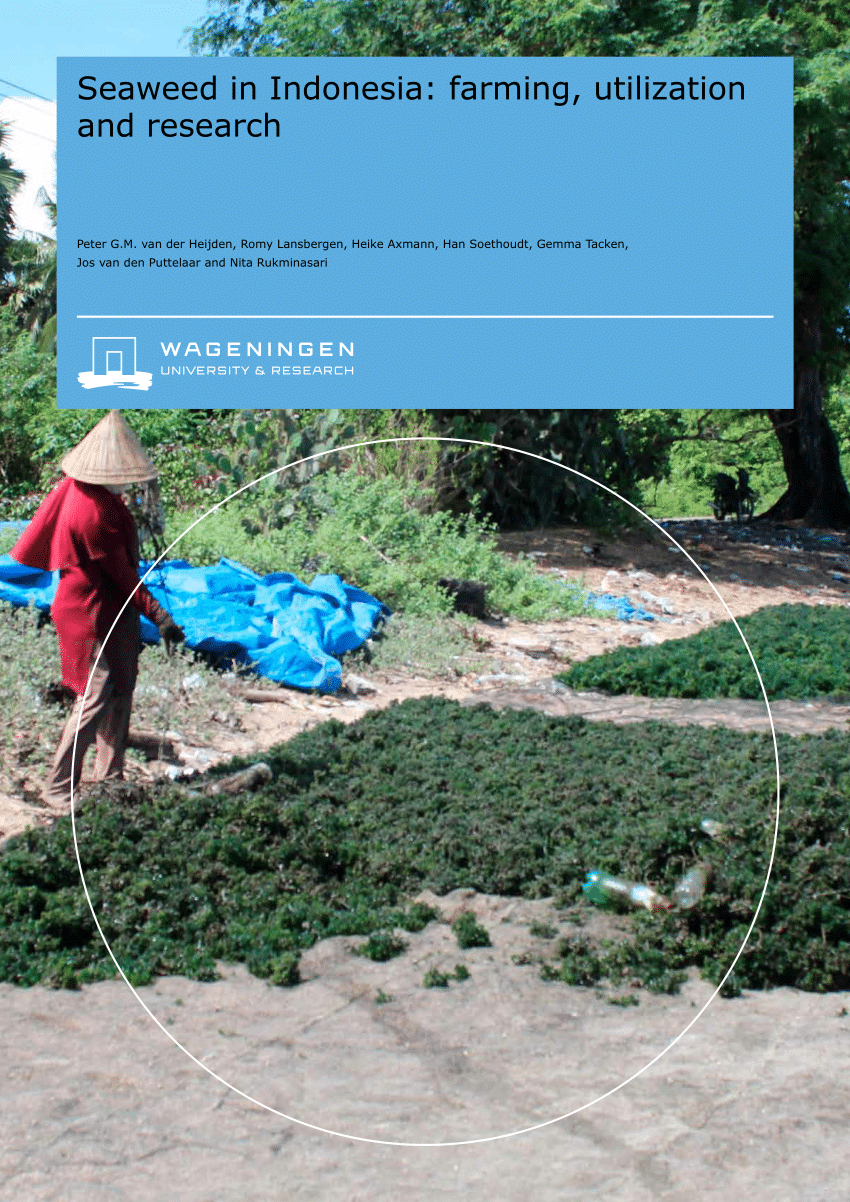 PDF) Seaweed in Indonesia: farming, utilization and research