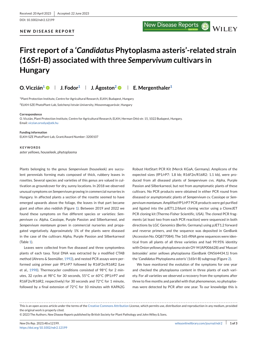 Pdf First Report Of A ‘ Candidatus Phytoplasma Asteris‐related