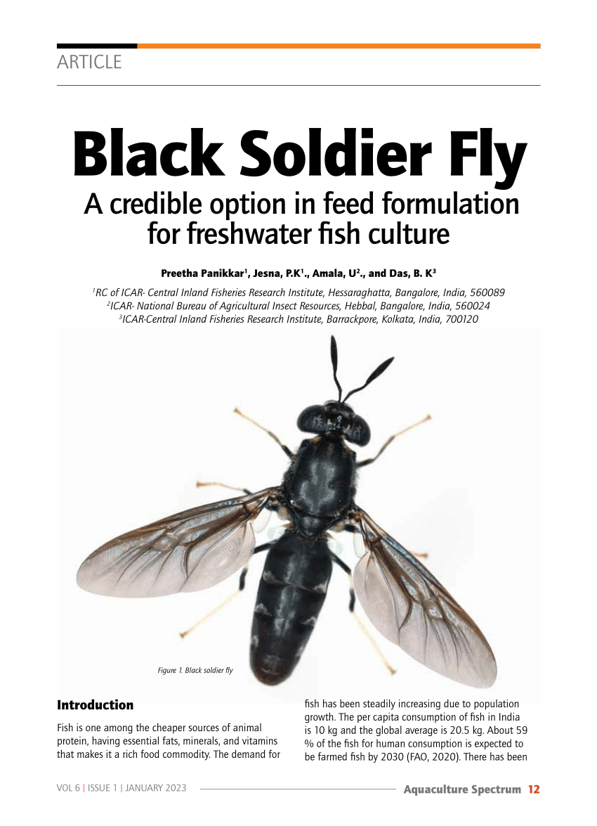 (PDF) Black Soldier Fly A credible option in feed formulation for ...