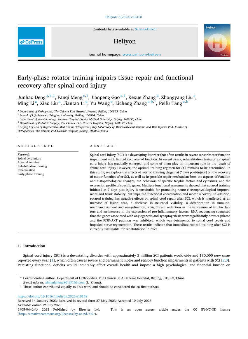 The core': Understanding it, and retraining its dysfunction - ScienceDirect