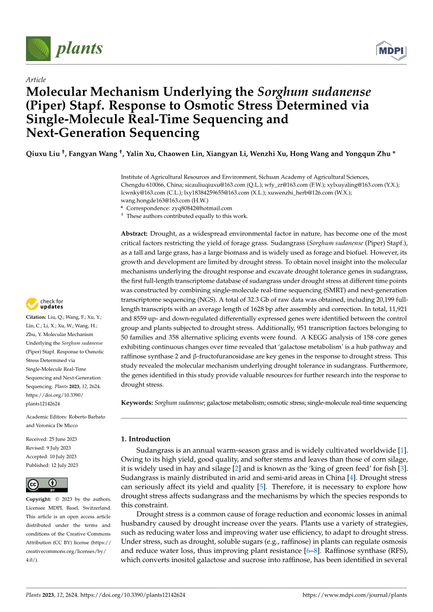 PDF) Molecular Mechanism Underlying the Sorghum sudanense (Piper