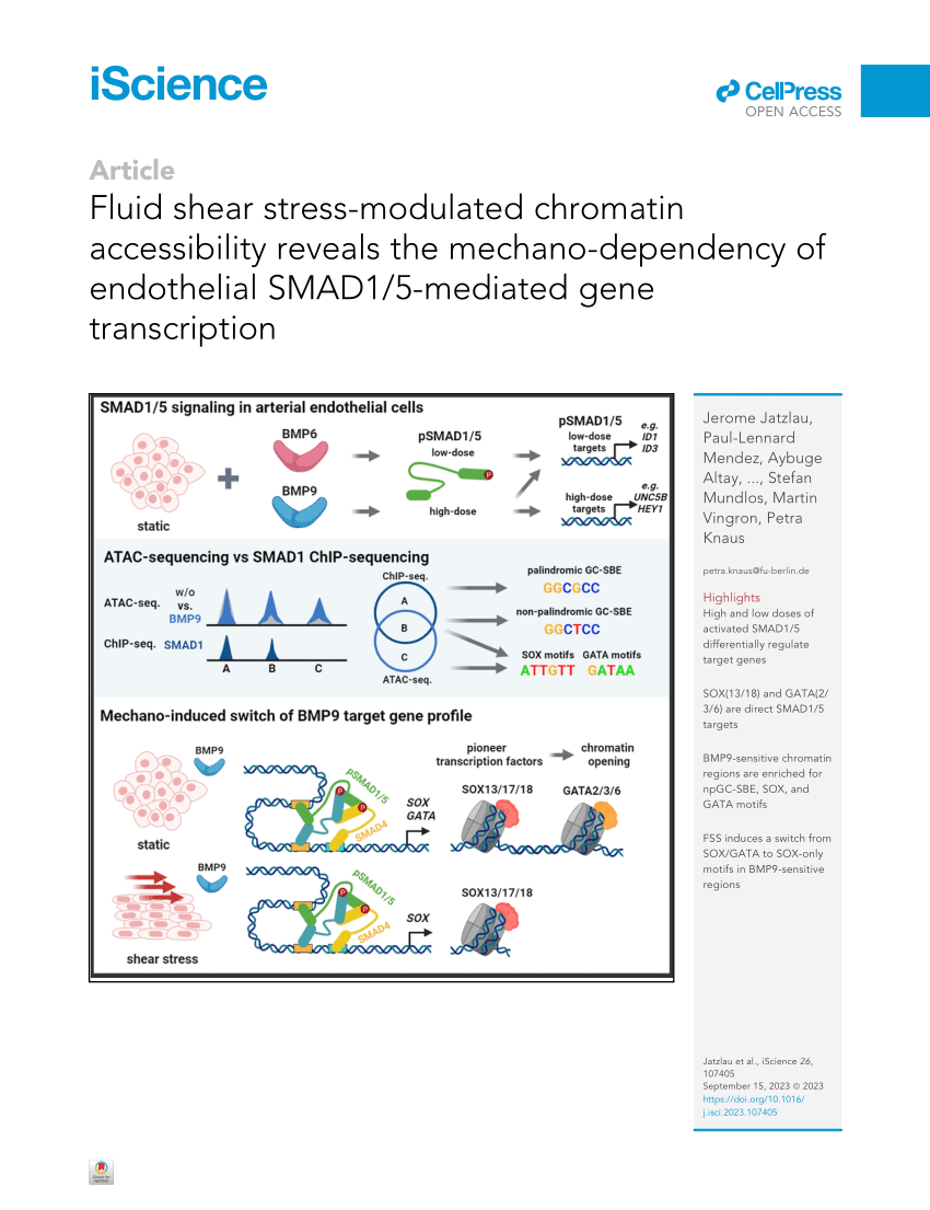 PDF) Fluid Shear Stress-modulated chromatin accessibility reveals 