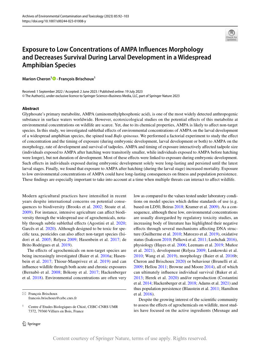 Exposure to Low Concentrations of AMPA Influences Morphology and