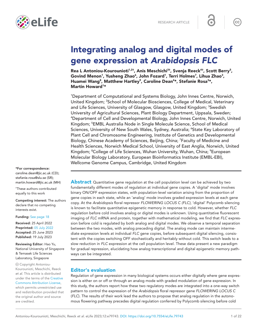 PDF) Integrating analog and digital modes of gene expression at