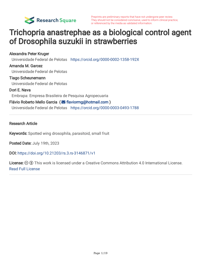 PDF Trichopria anastrephae as a biological control agent of  