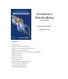 Preview image for Introduction to Molecular Biology