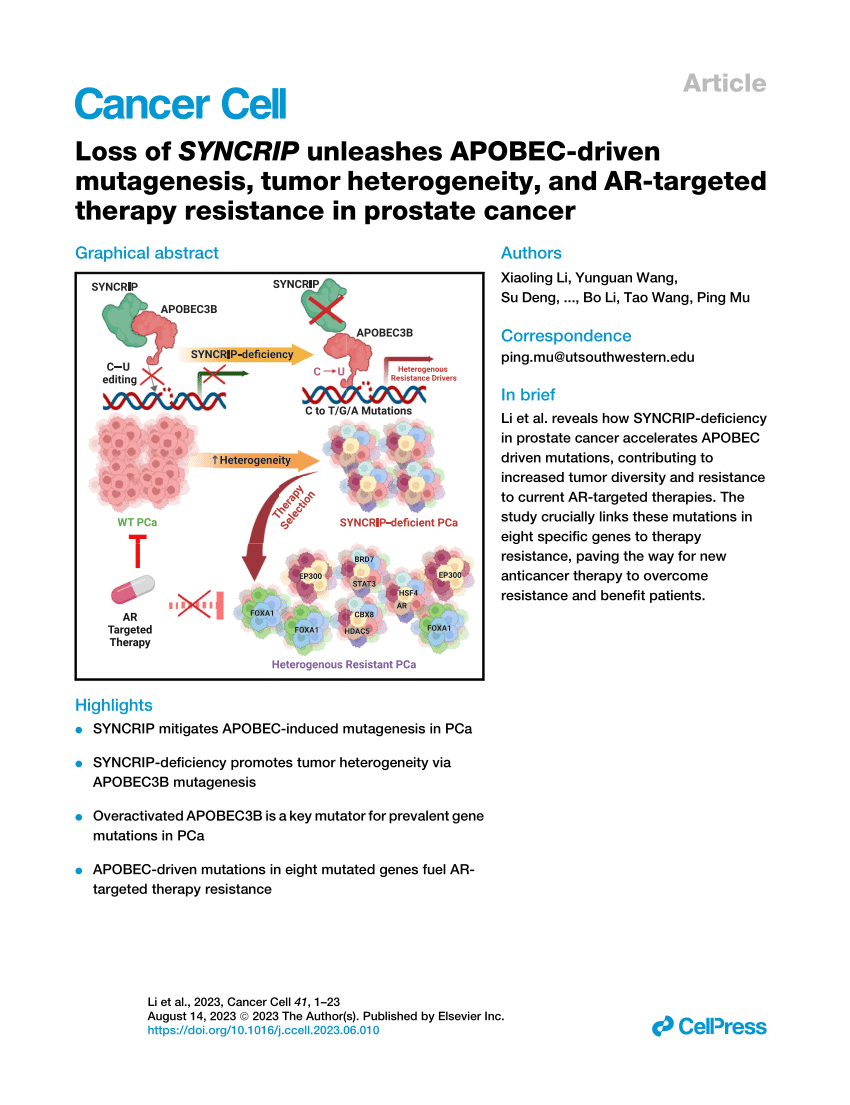 PDF) Loss of SYNCRIP unleashes APOBEC-driven mutagenesis, tumor 