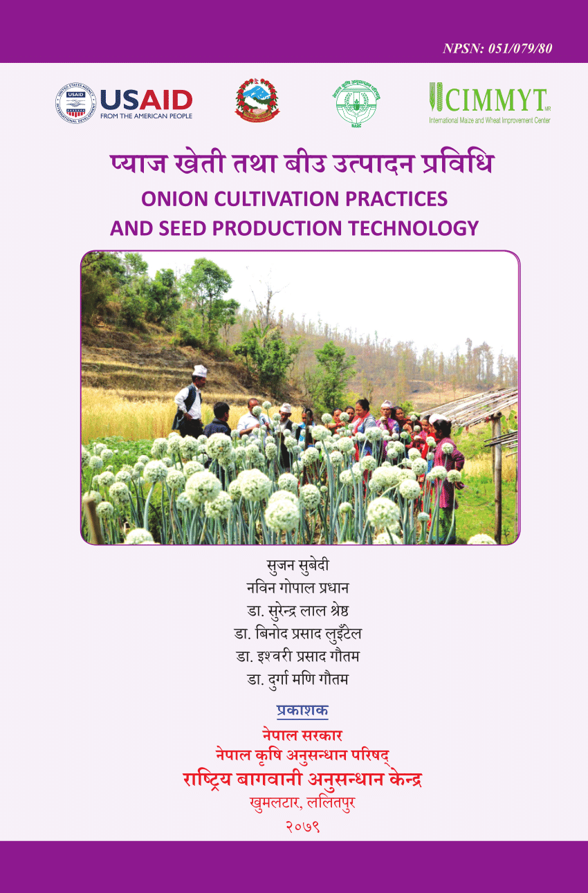 (PDF) प्याज खेती तथा बीउ उत्यादन प्रविधि ONION CULTIVATION PRACTICES ...