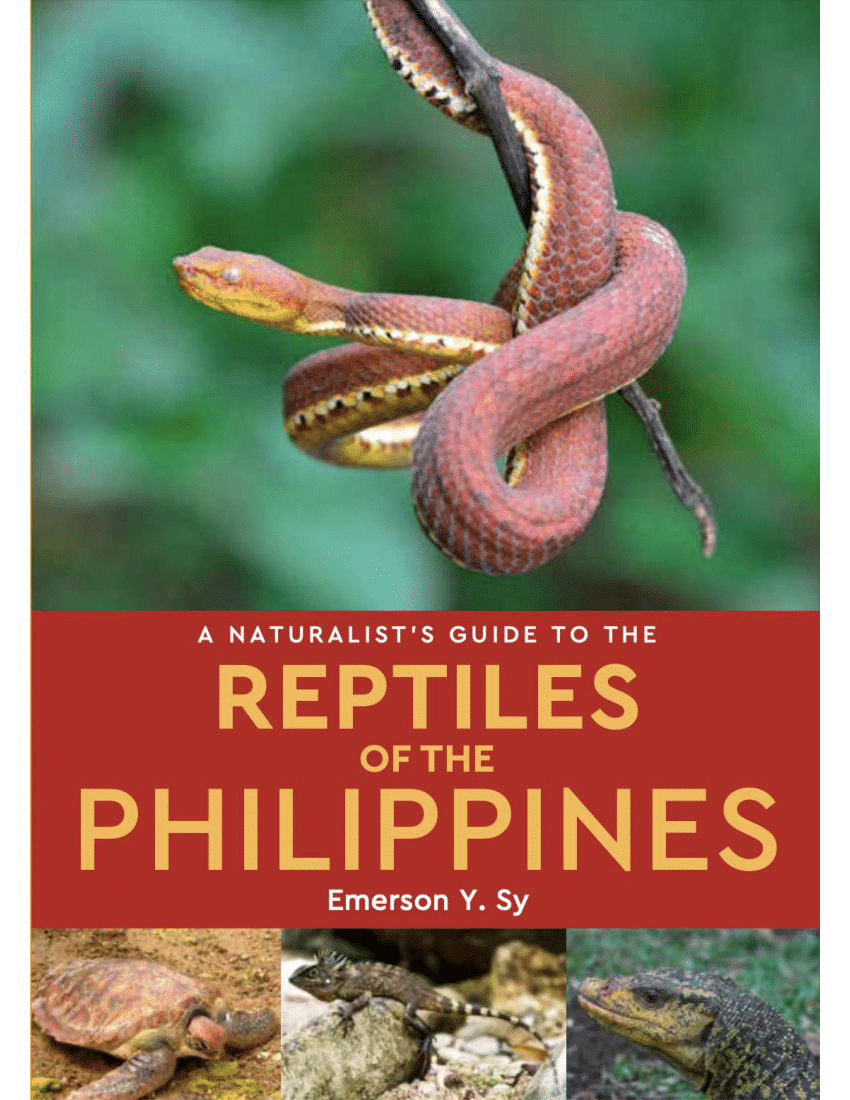 (PDF) A naturalist's guide to the reptiles of the Philippines