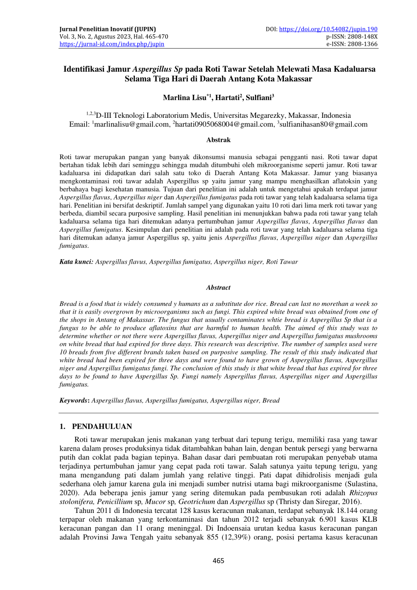 Pdf Identifikasi Jamur Aspergillus Sp Pada Roti Tawar Setelah