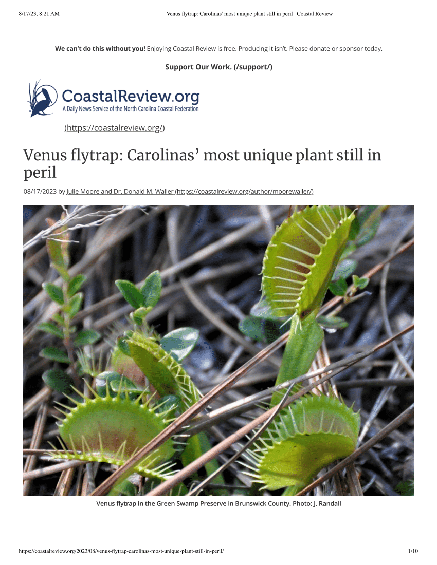 https://i1.rgstatic.net/publication/373174366_VenusFlytrapStill-in-Peril-NC-CoastalReview/links/64de9727177c59041300a293/largepreview.png