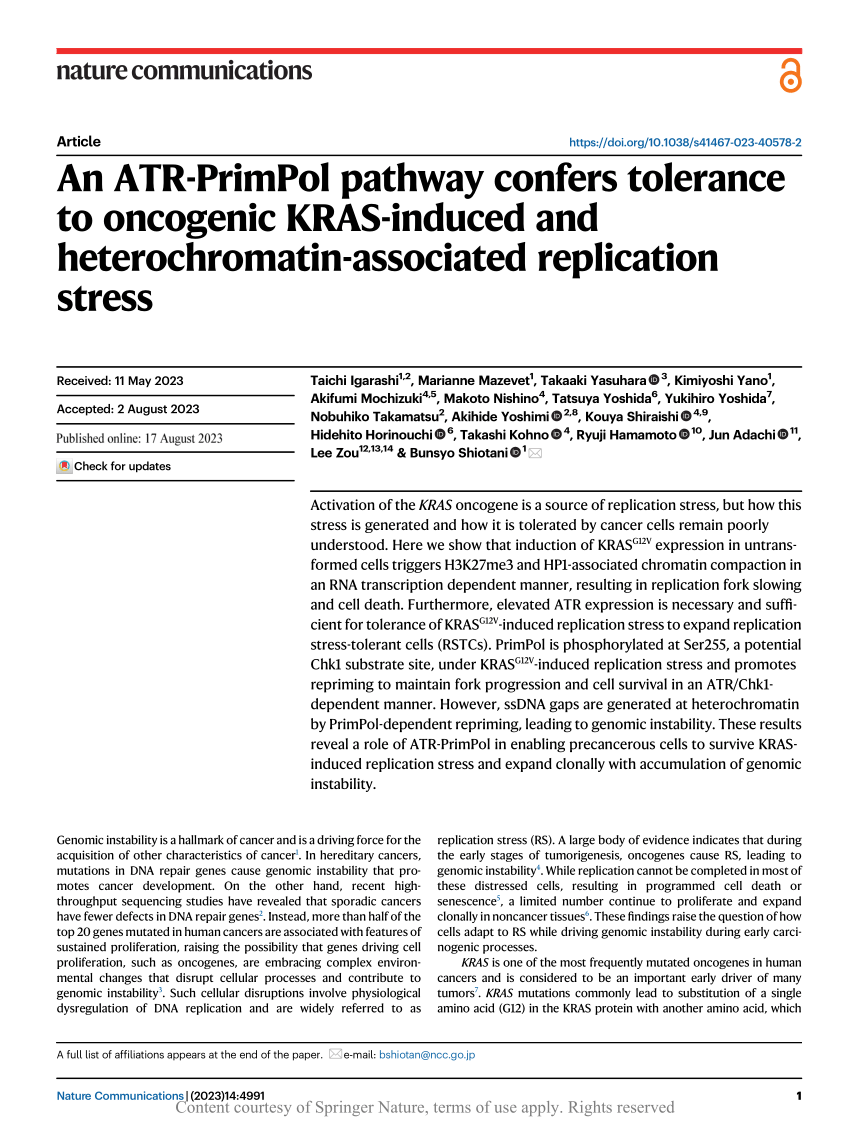 PDF) An ATR-PrimPol pathway confers tolerance to oncogenic KRAS-induced and  heterochromatin-associated replication stress