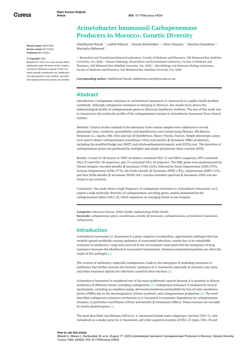 PDF Acinetobacter baumannii Carbapenemase Producers in Morocco