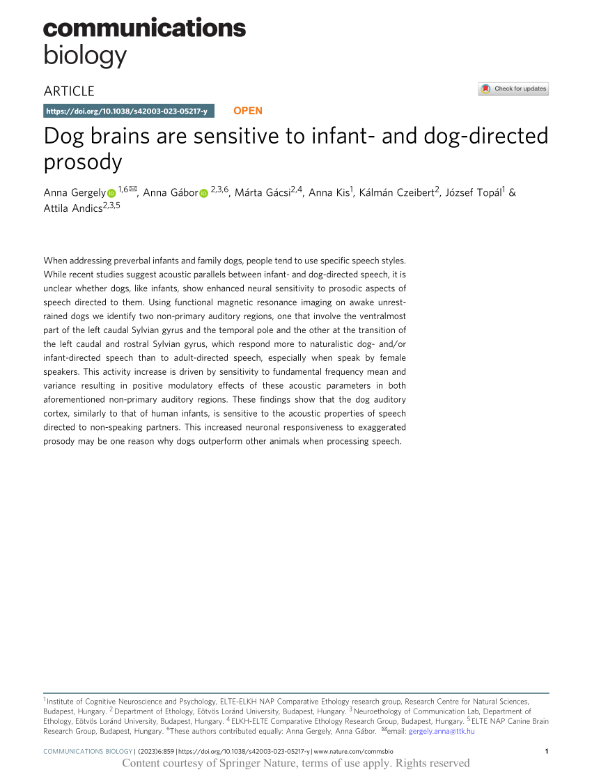 PDF) Dog brains are sensitive to infant- and dog-directed prosody