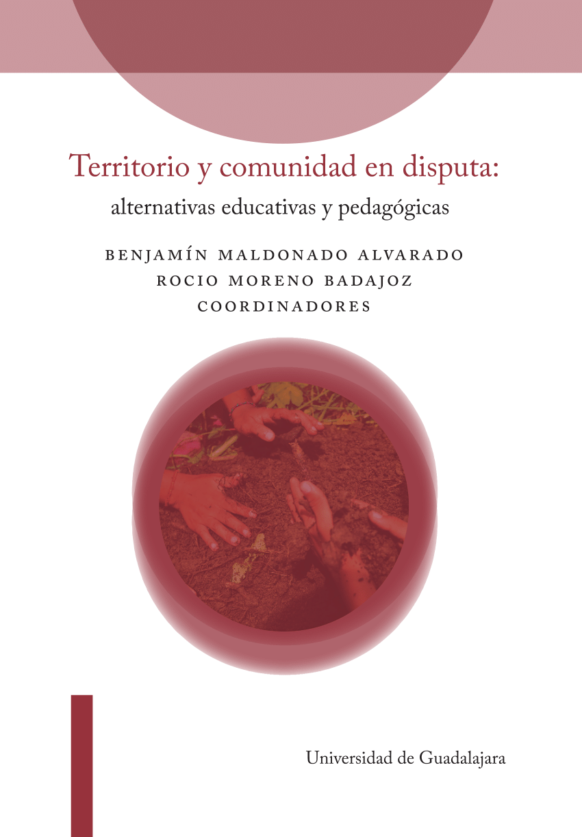 PDF) Disputas territoriales y conflictos interétnicos en Brasil y