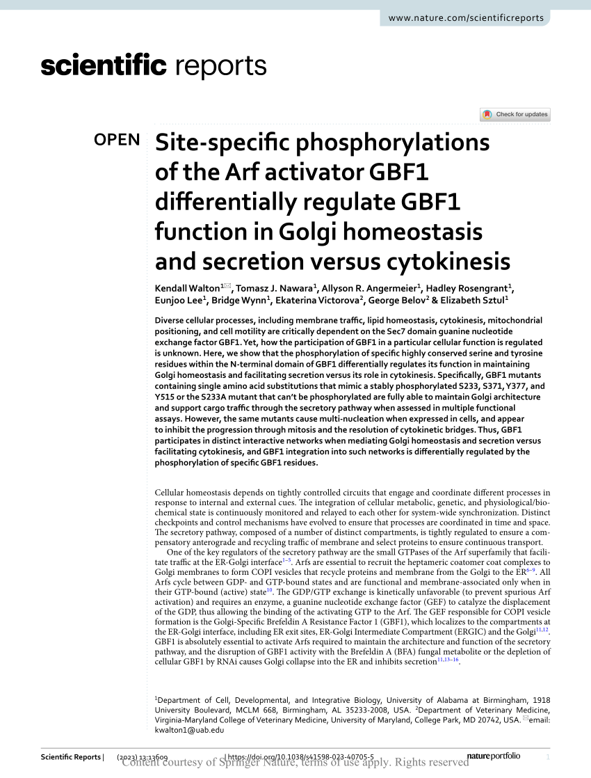 Site-specific phosphorylations of the Arf activator GBF1 differentially  regulate GBF1 function in Golgi homeostasis and secretion versus  cytokinesis