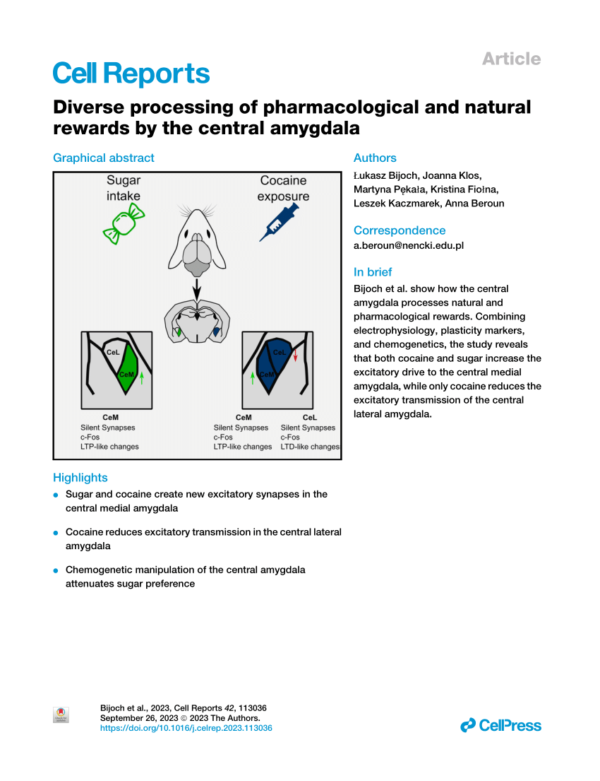 Whole-brain tracking of cocaine and sugar rewards processing