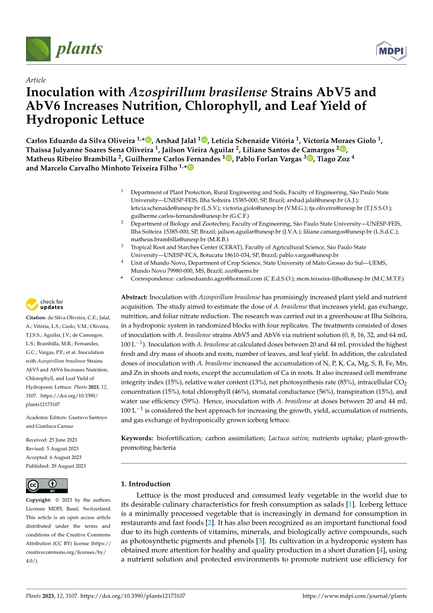 (PDF) Inoculation with Azospirillum brasilense Strains AbV5 and AbV6 ...