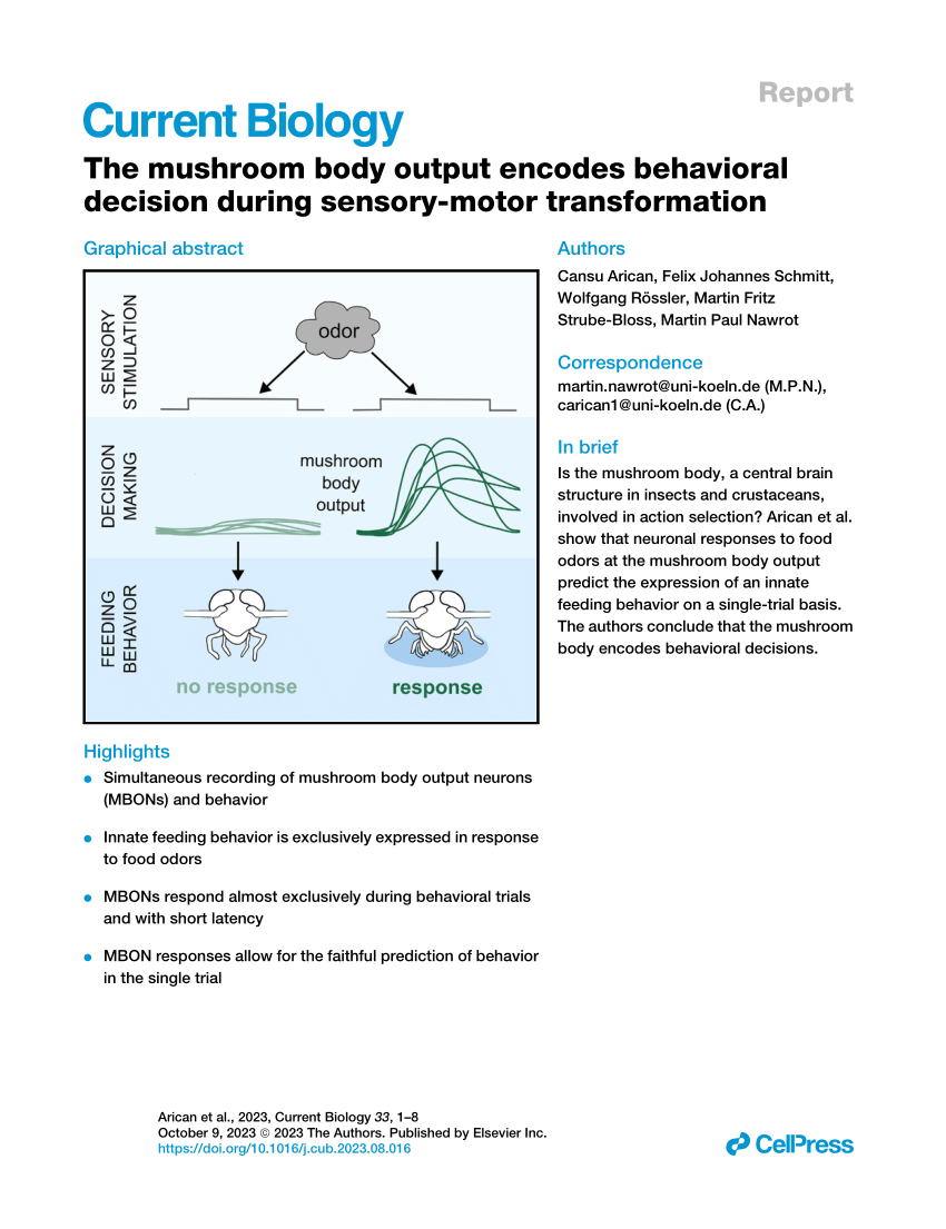 PDF) The mushroom body output encodes behavioral decision during  sensory-motor transformation