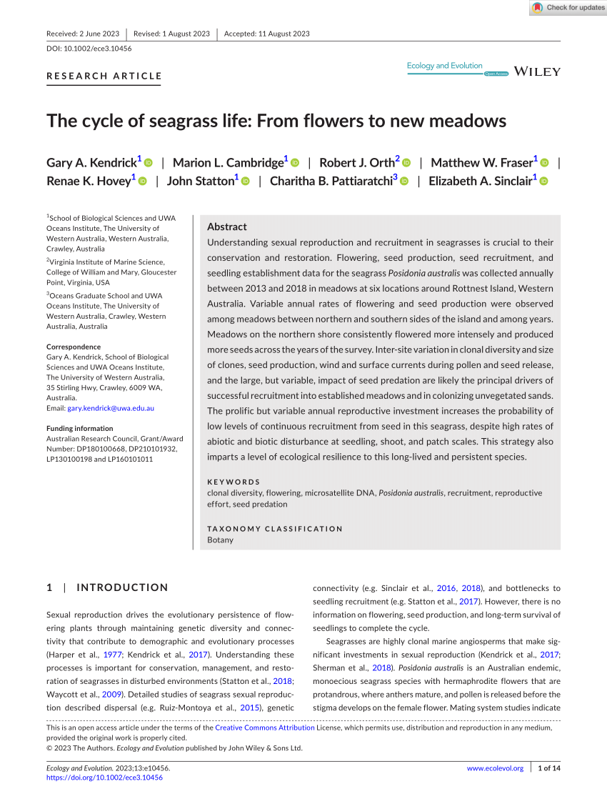 (PDF) The cycle of seagrass life: From flowers to new meadows