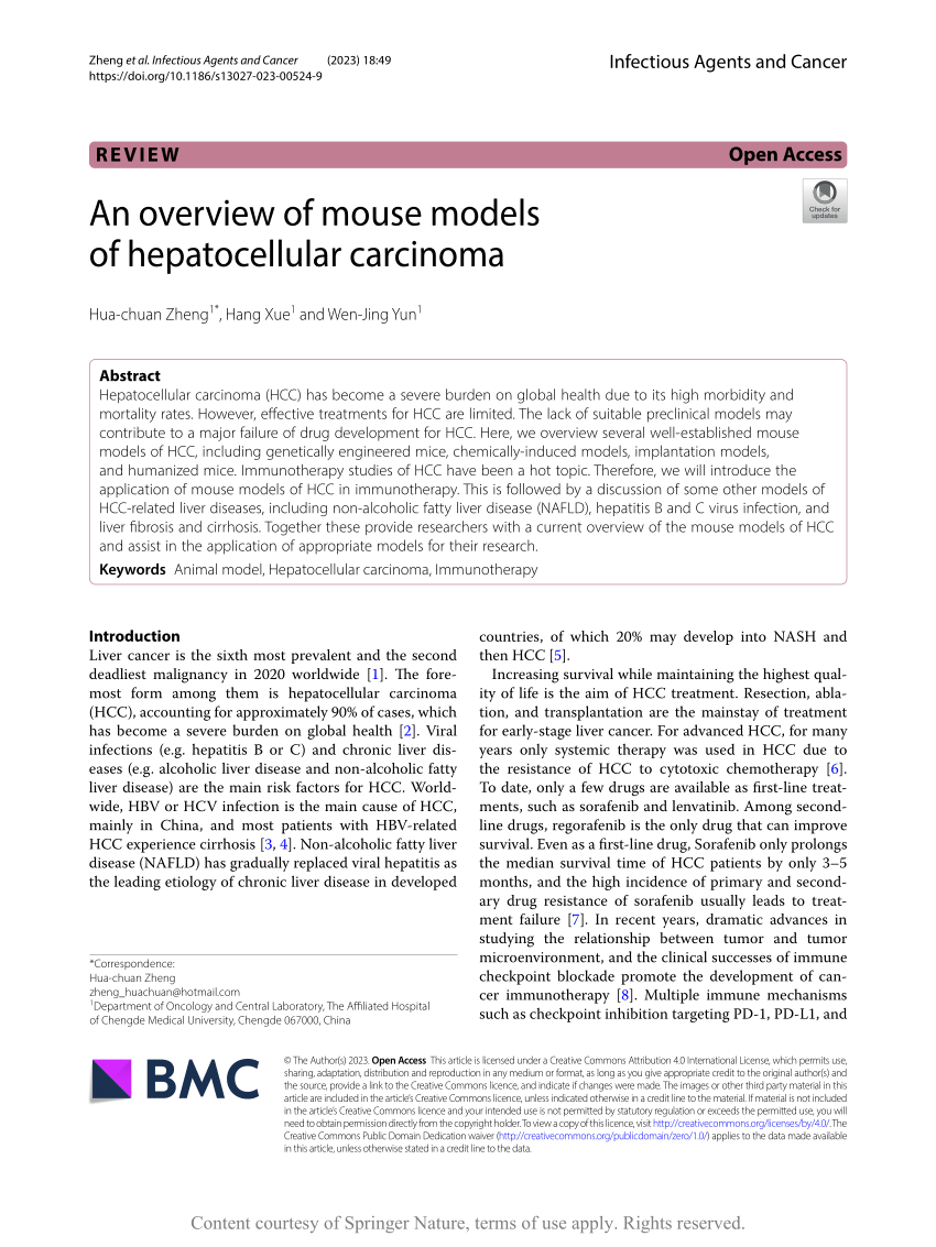 (PDF) An overview of mouse models of hepatocellular carcinoma