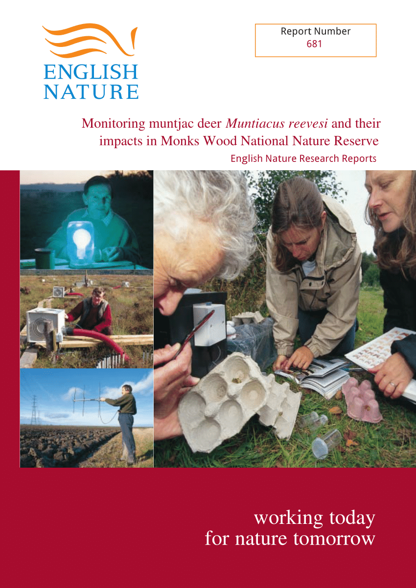english nature research reports