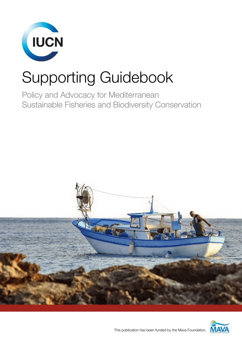 New Mediterranean and Black Sea fishing gear catalogue: a milestone for  fisheries management, General Fisheries Commission for the Mediterranean  (GFCM)