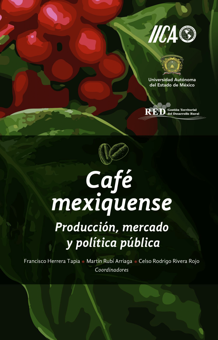 Café Grano Entero de Especialidad (180 g) – Buy From Costa Rica