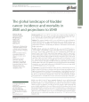 Preview image for The global landscape of bladder cancer incidence and mortality in 2020 and projections to 2040