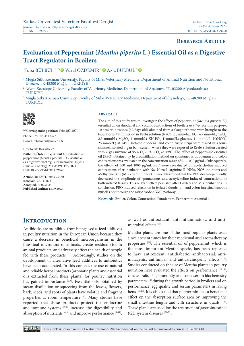 PDF Evaluation of Peppermint Mentha piperita L Essential Oil  