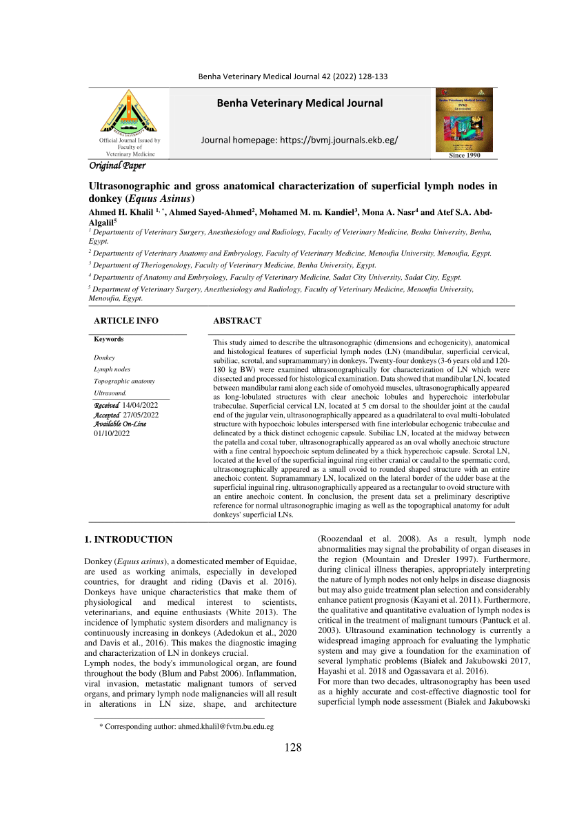PDF) Benha Veterinary Medical Journal Original Paper